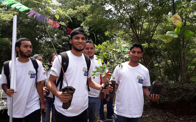 reforestacion