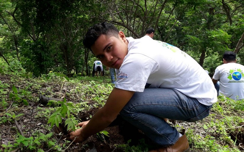 reforestacion
