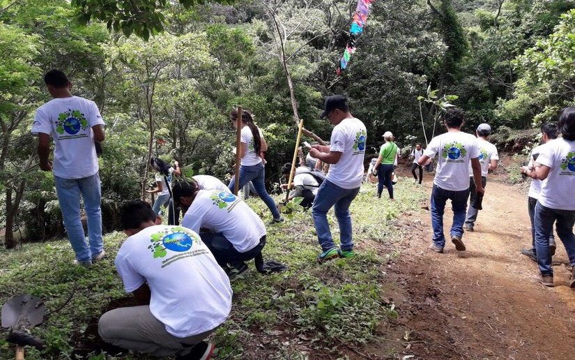 reforestacion