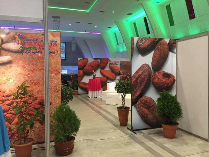 Feria del Cacao