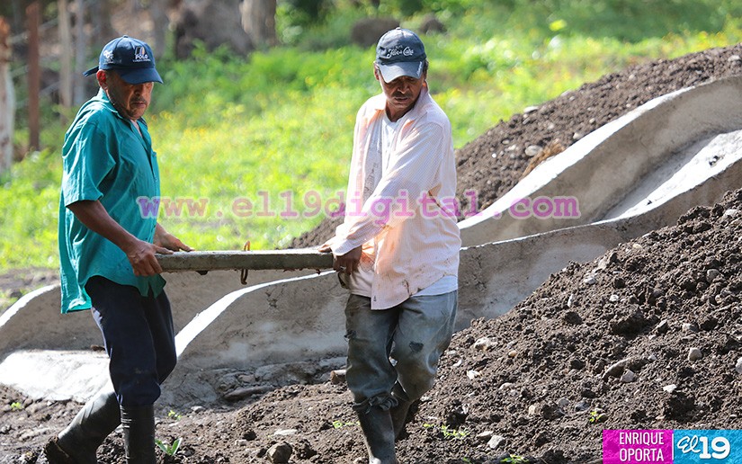 productores