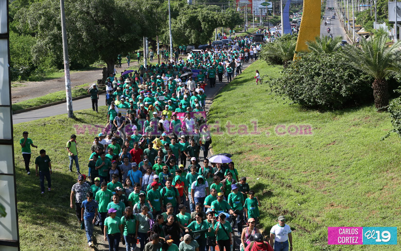 caminata