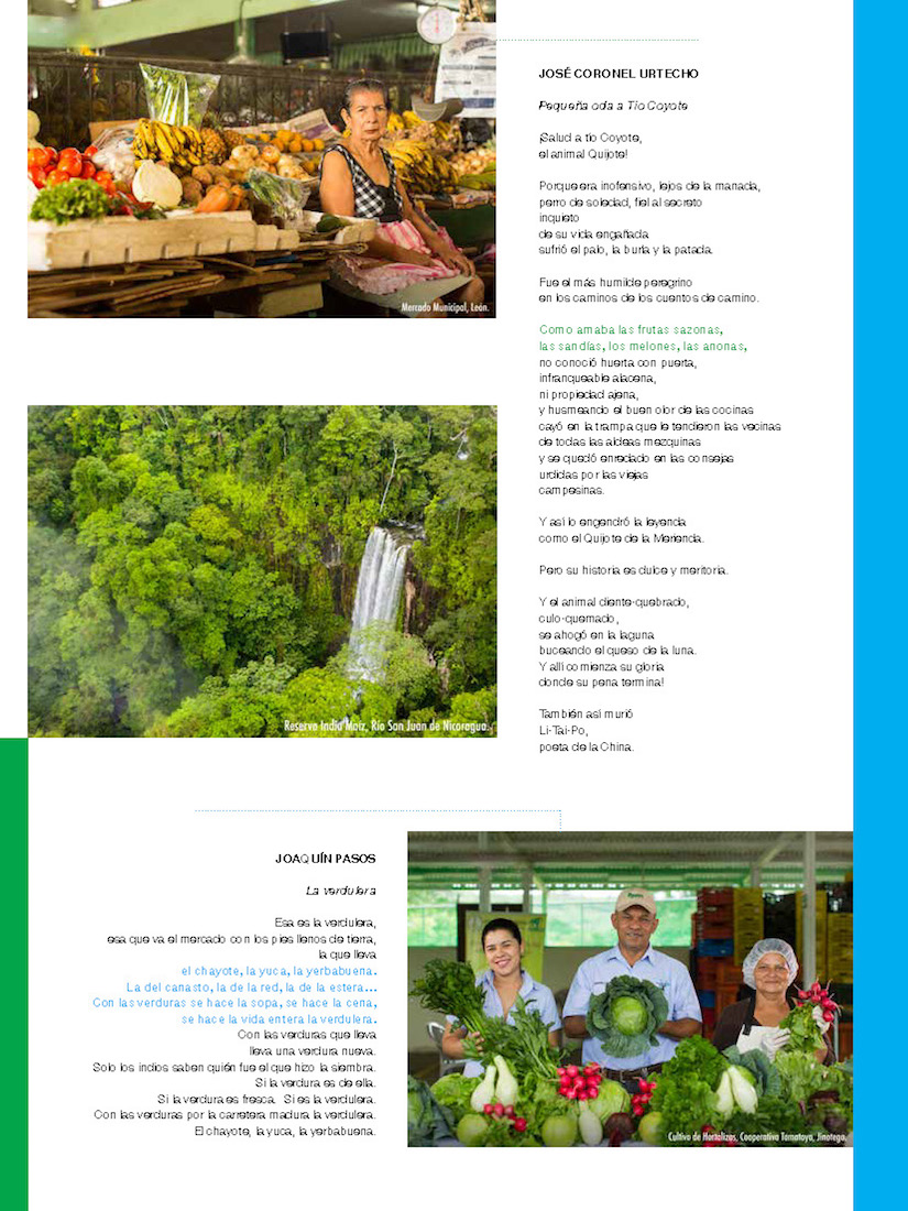 Revista Leer