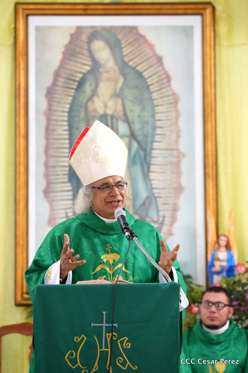 cardenal