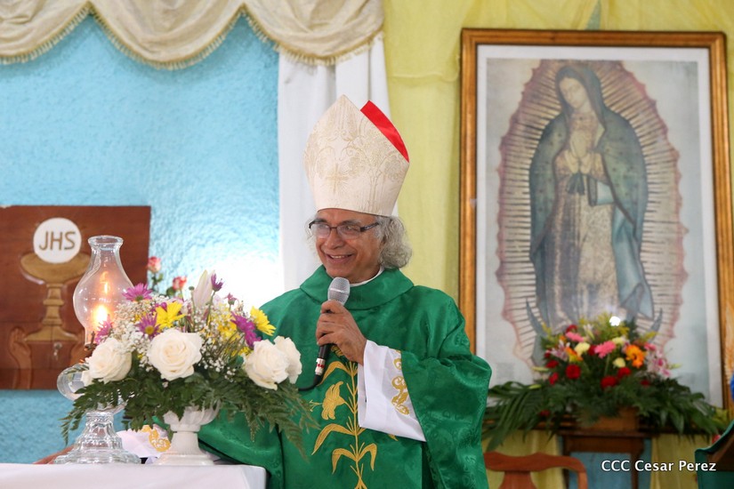 cardenal