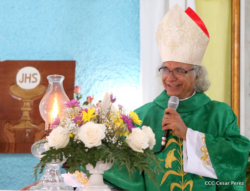 cardenal