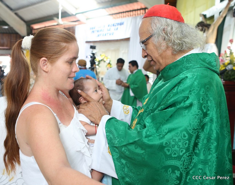 cardenal