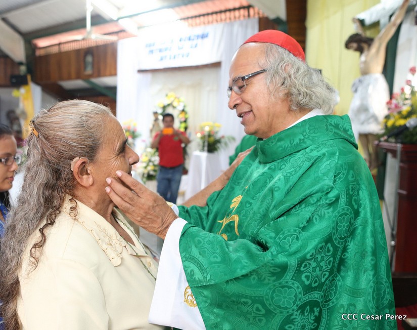 cardenal