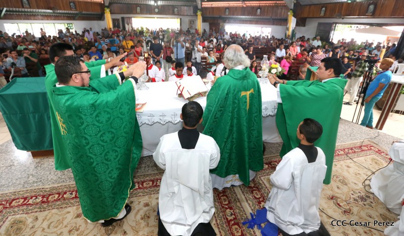 cardenal