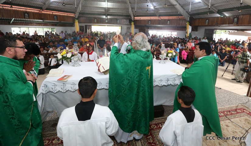 cardenal