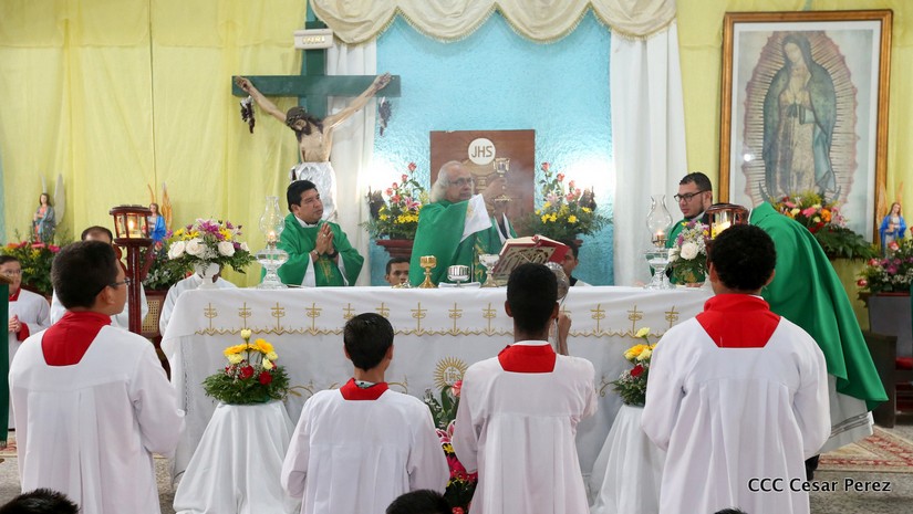 cardenal
