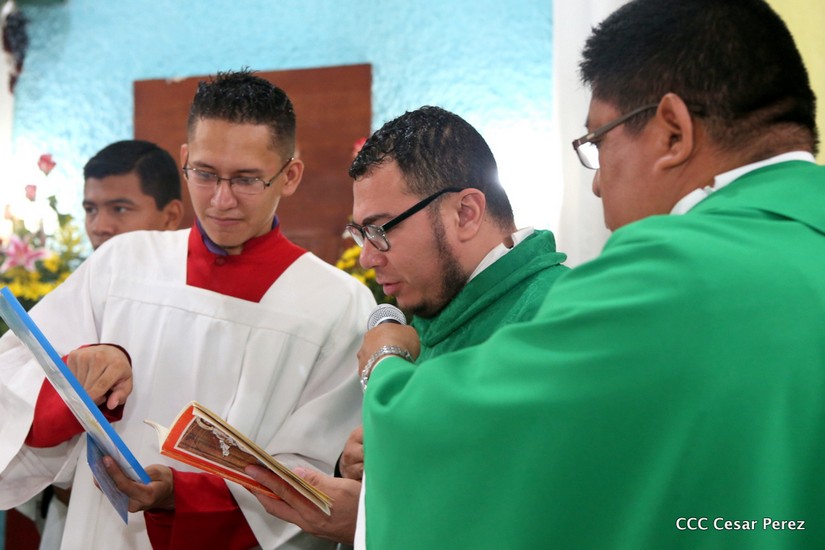 cardenal