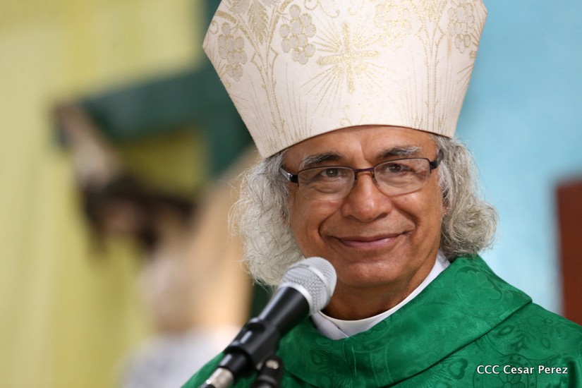 cardenal