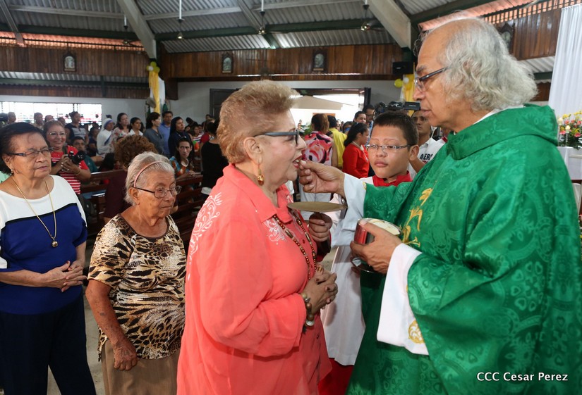 cardenal