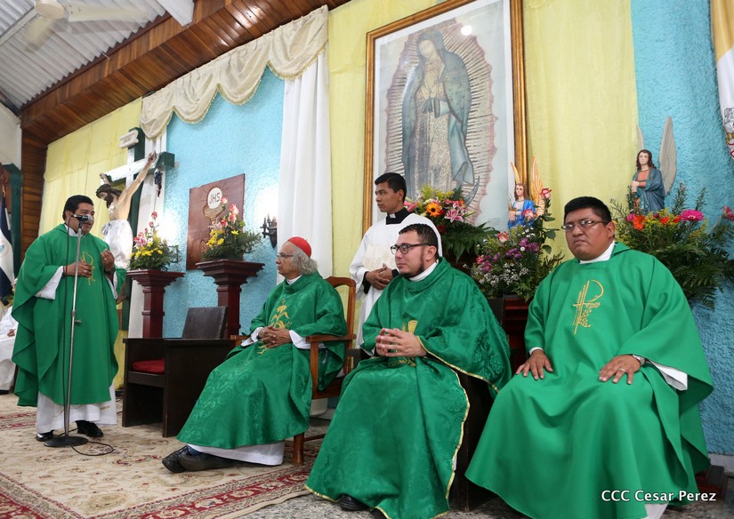 cardenal