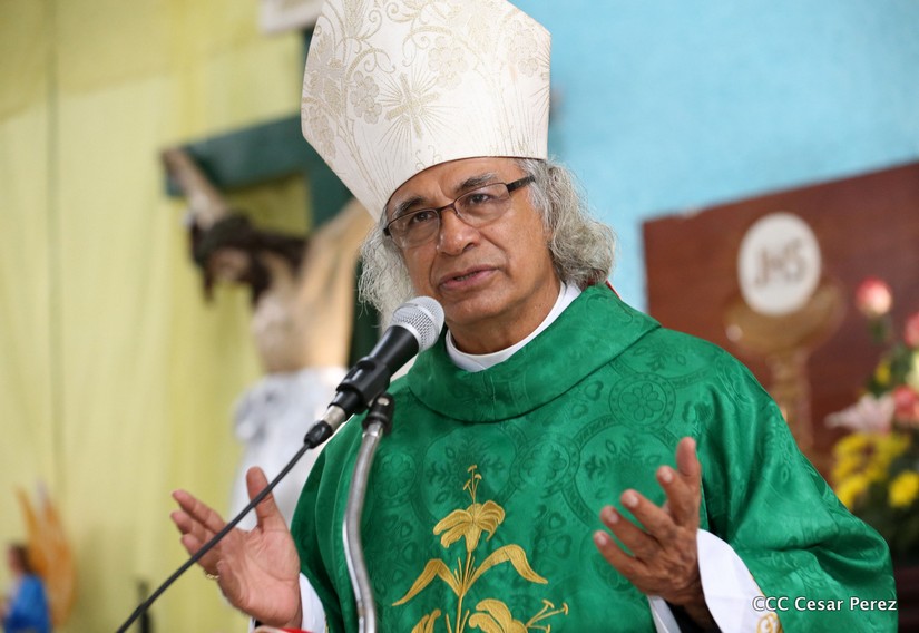 cardenal