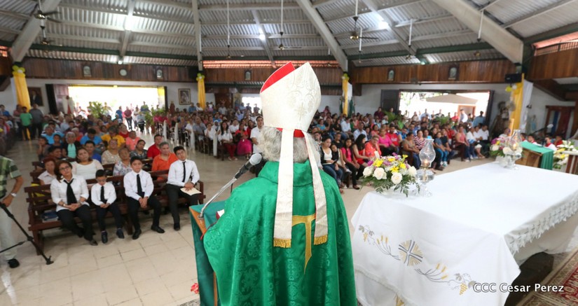 cardenal