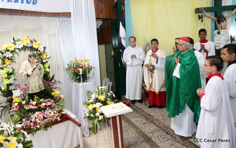 cardenal