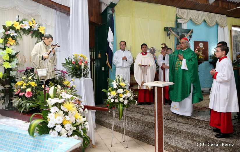 cardenal