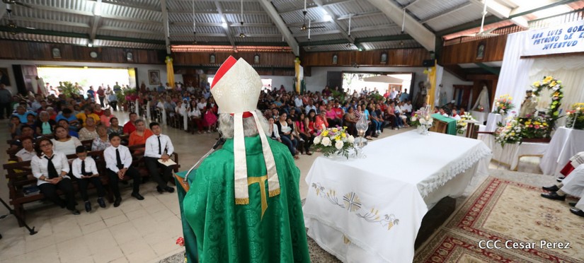 cardenal