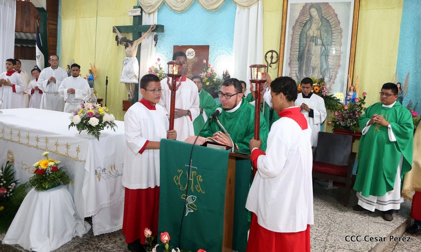 cardenal