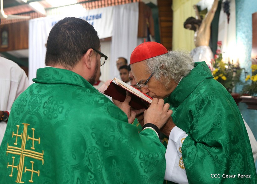 cardenal