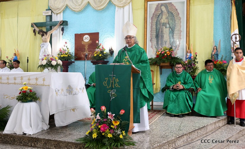 cardenal