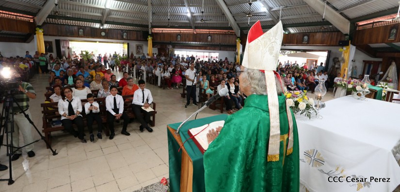 cardenal