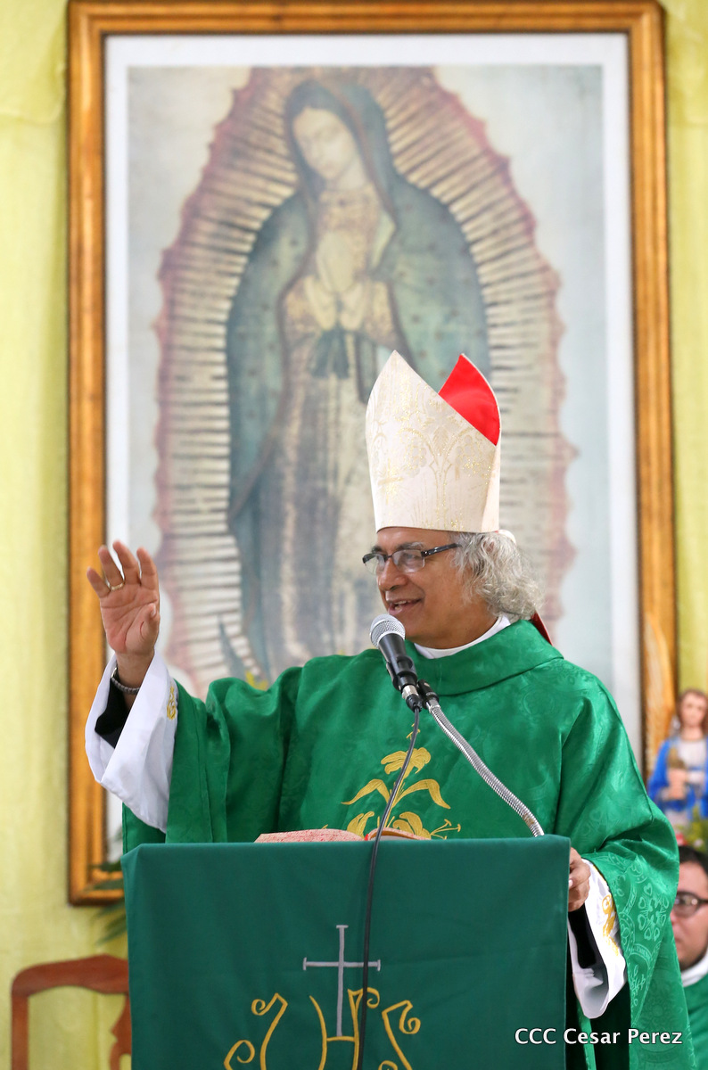 cardenal