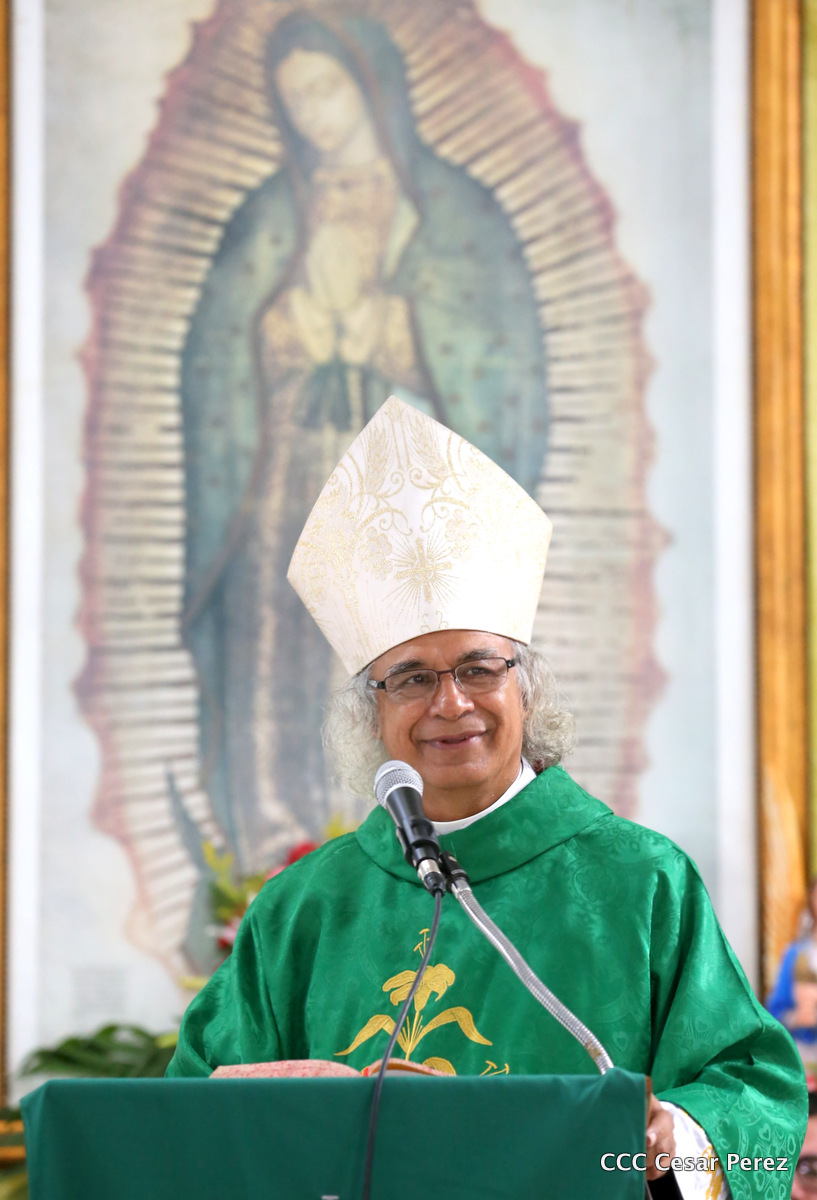 cardenal
