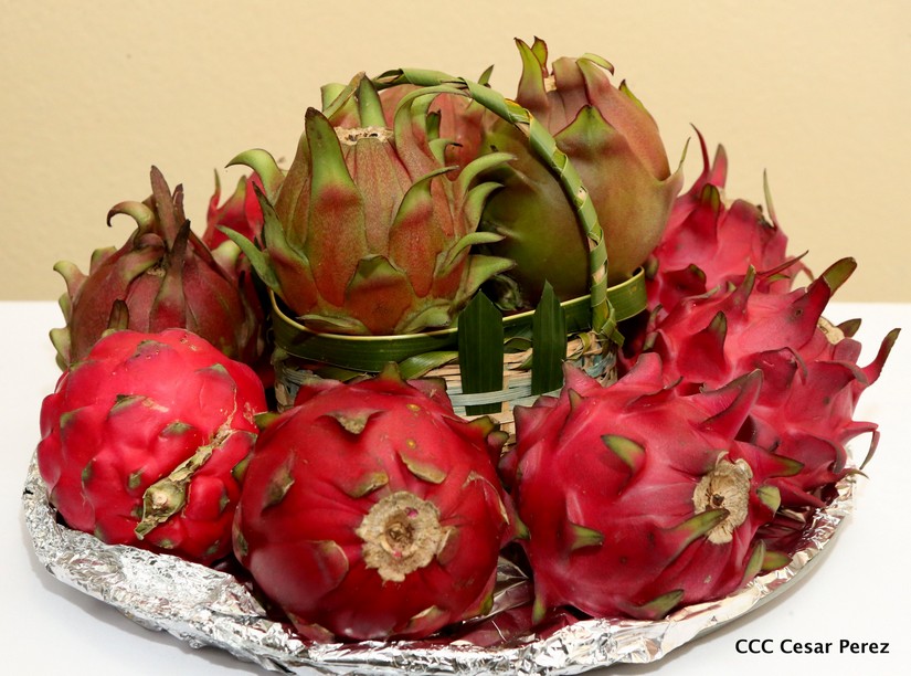 plan_frutas