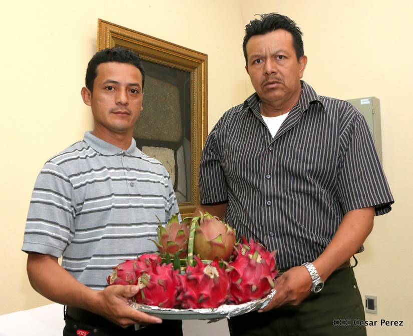 plan_frutas