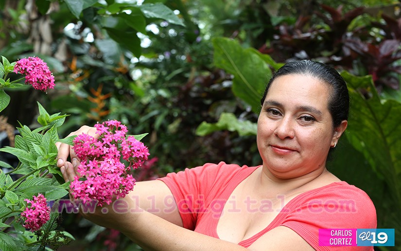 jardines