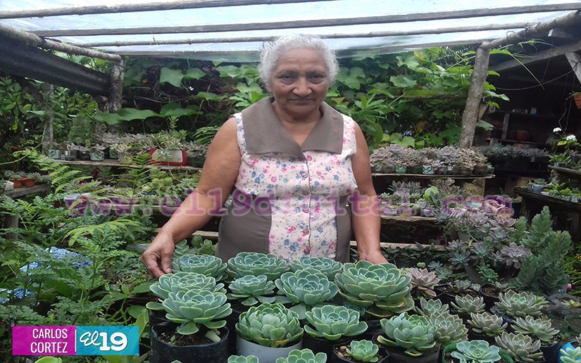 jardines