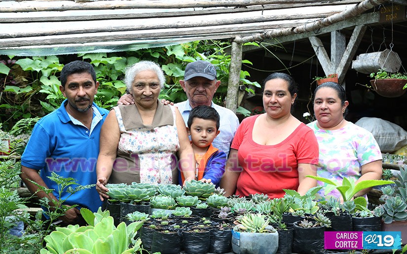 jardines