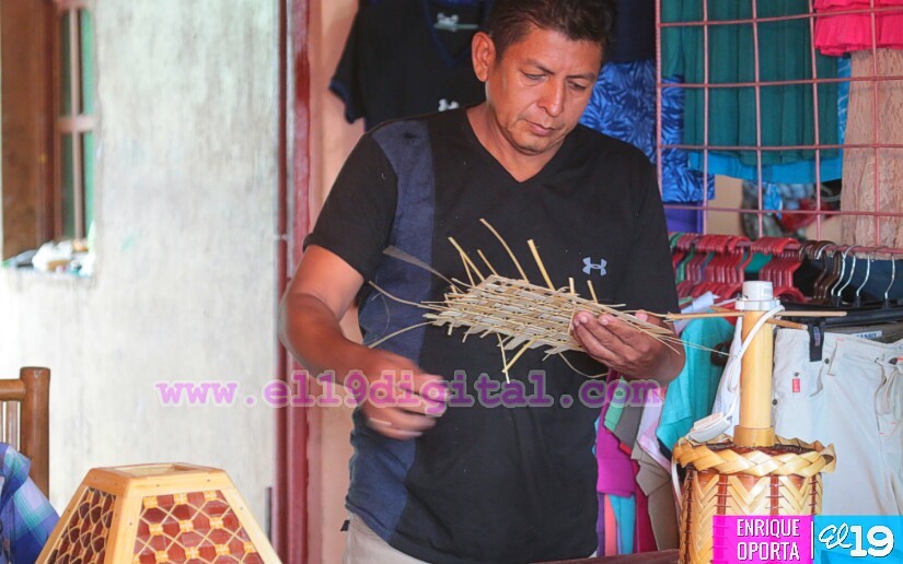 bambu
