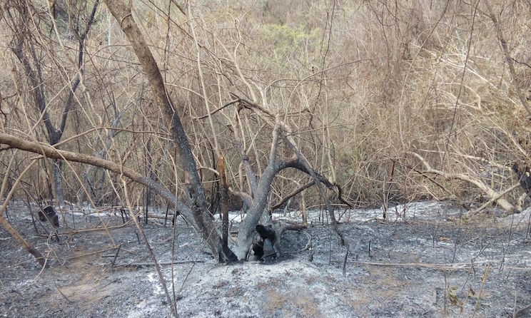 Incendio