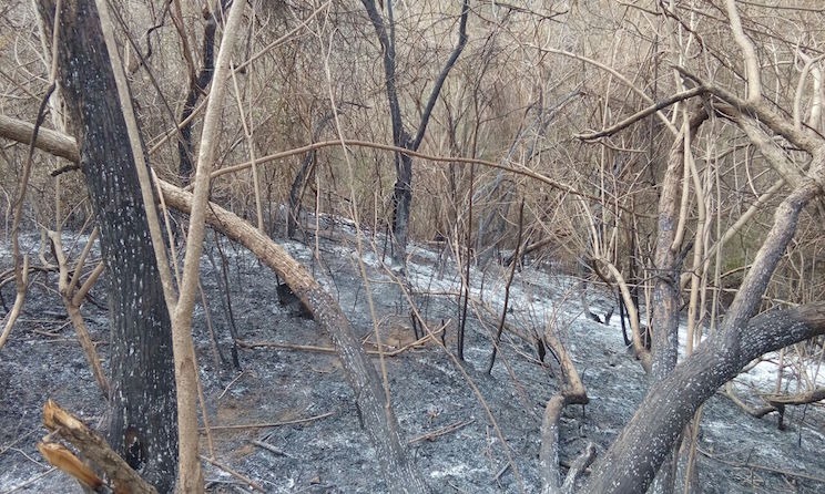 Incendio