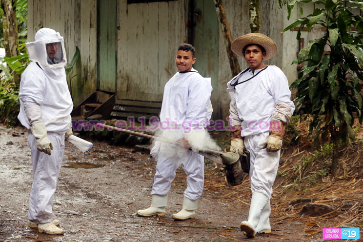 Macizo Pe&ntilde;as Blancas