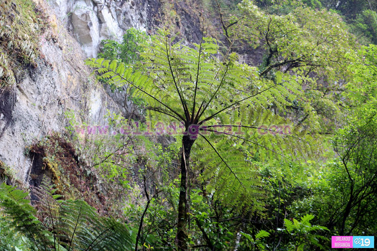 Macizo Pe&ntilde;as Blancas