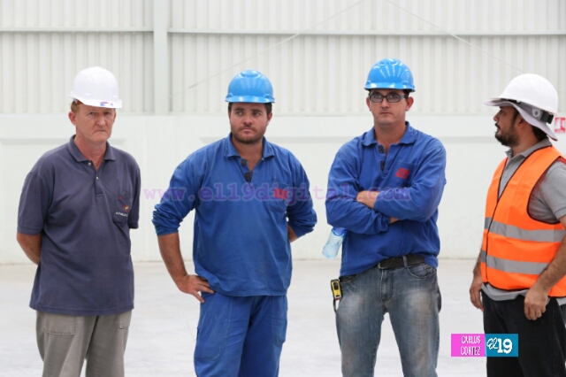 planta-yuca