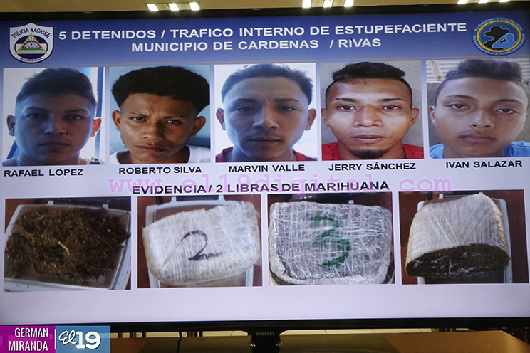 seguridad_campo