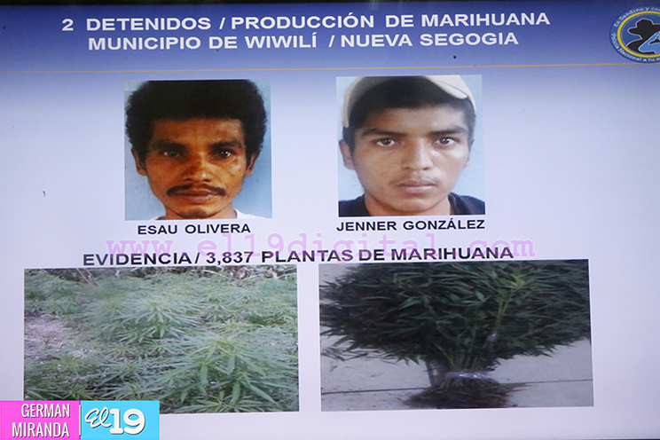 seguridad_campo