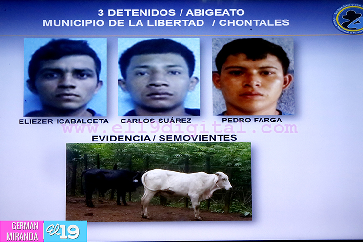 seguridad_campo