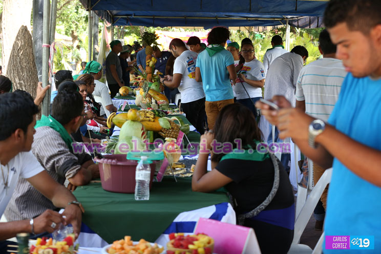 festival-frutas