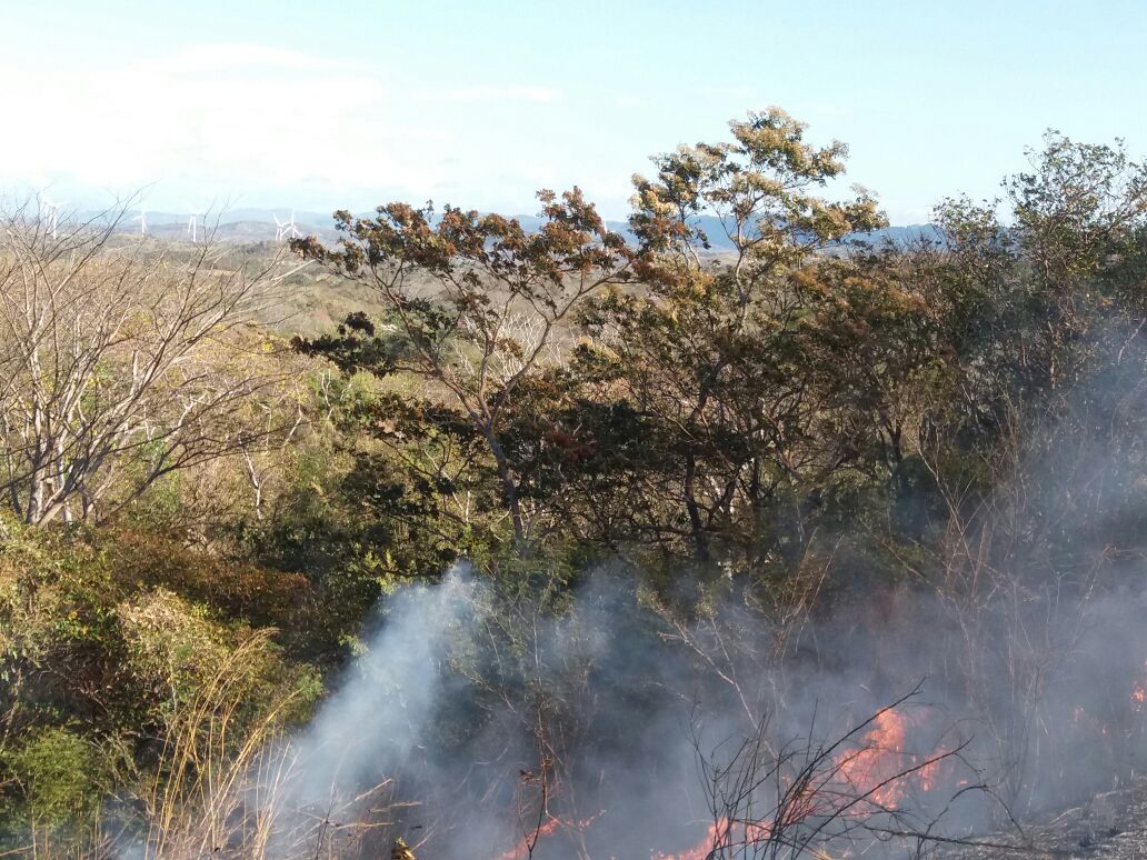 incendio-forestal