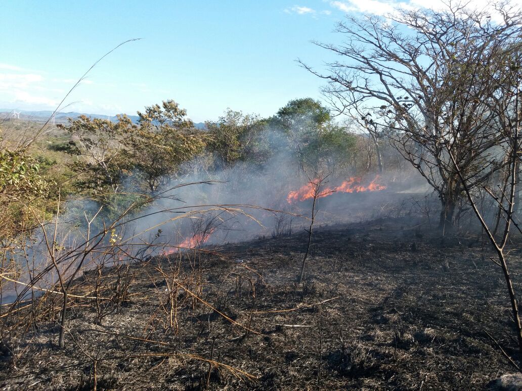 incendio-forestal