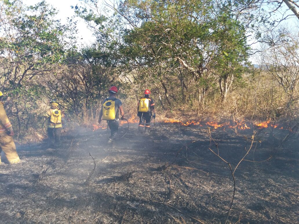 incendio-forestal