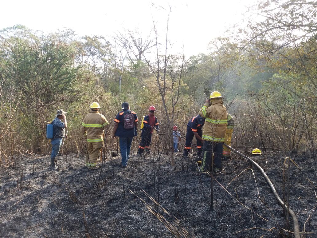 incendio-forestal