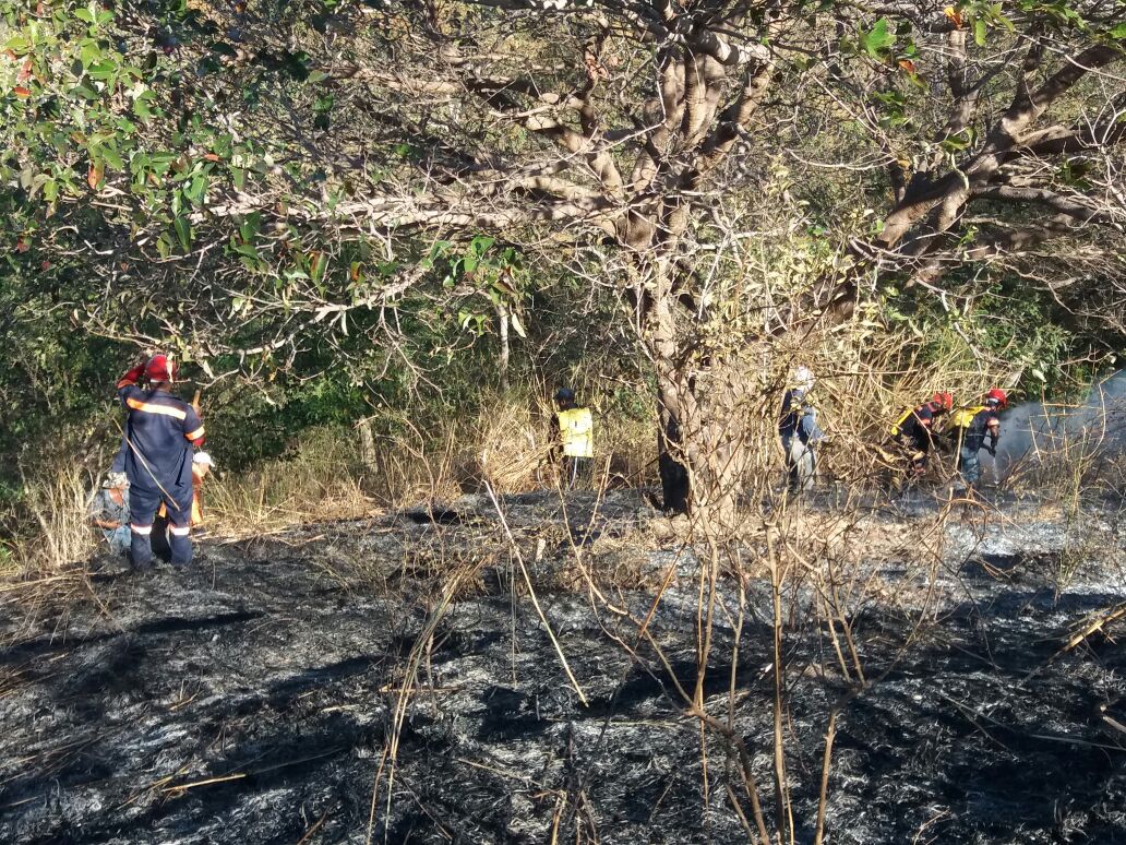 incendio-forestal